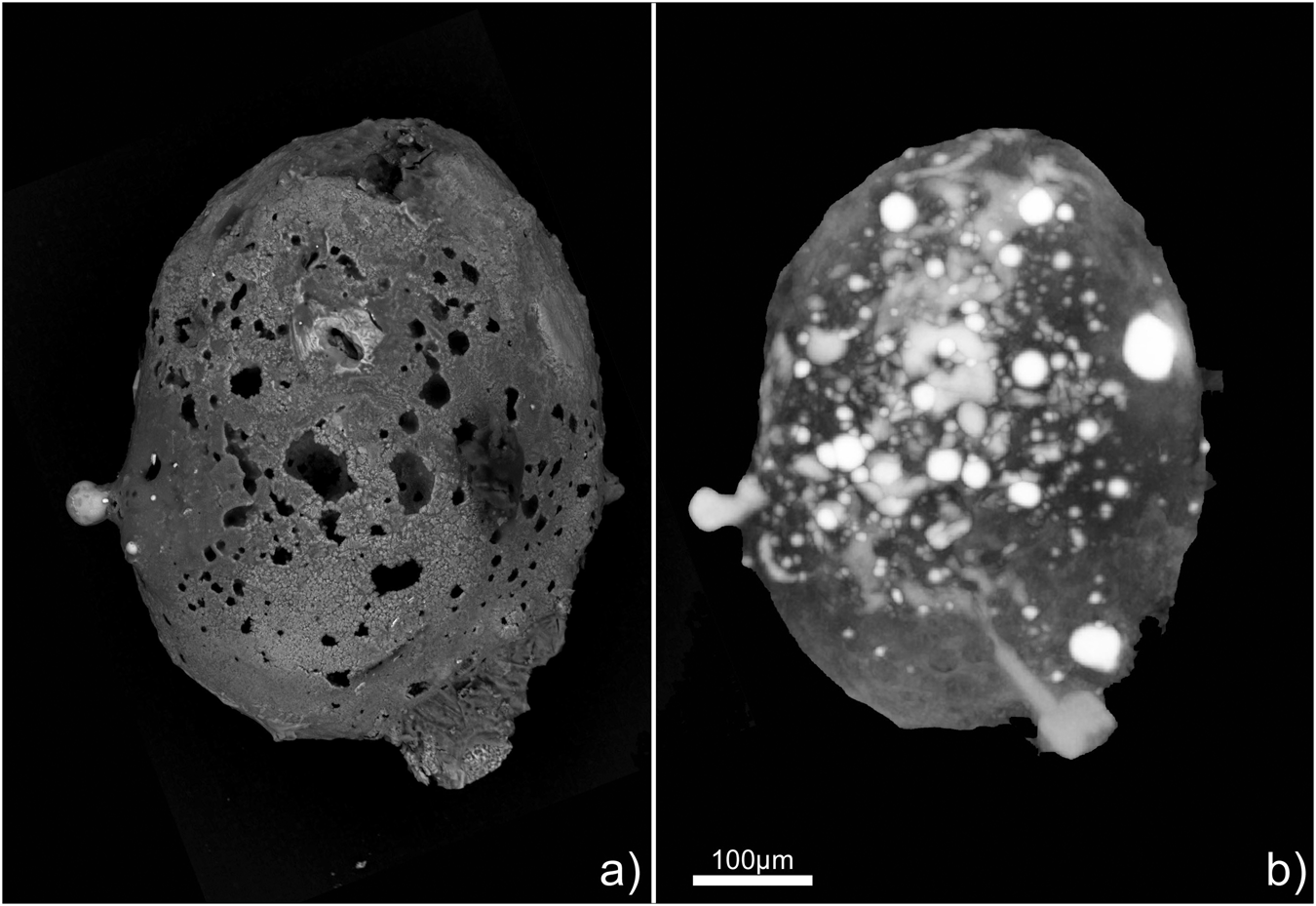 METEORITOS MÁS RAROS