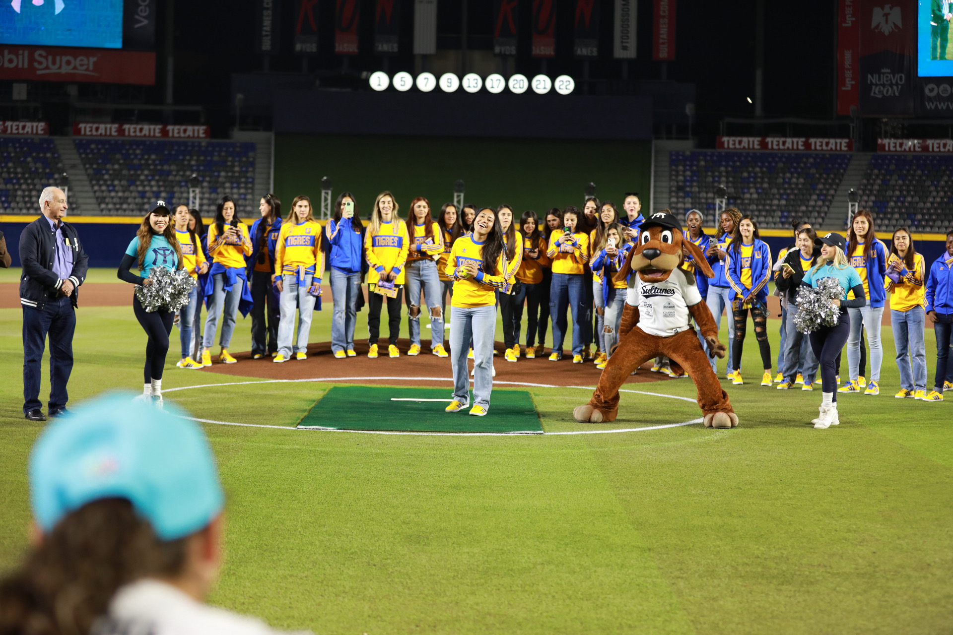 LIGA MEXICANA DE SOFTBOL