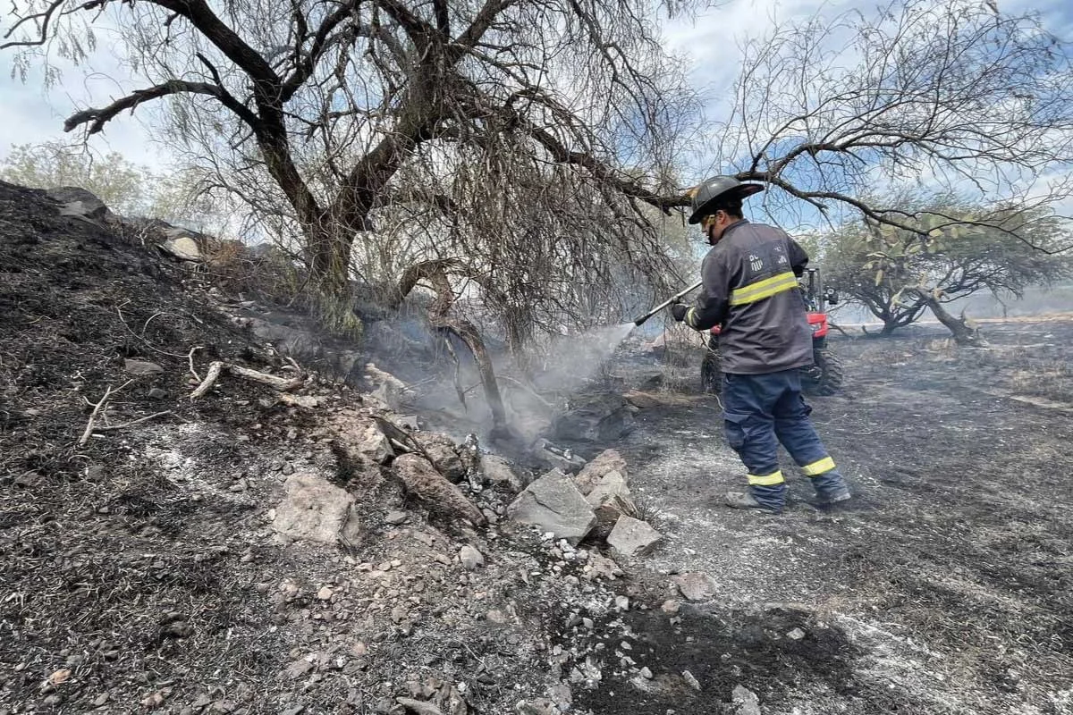 Incendios forestales Querétaro