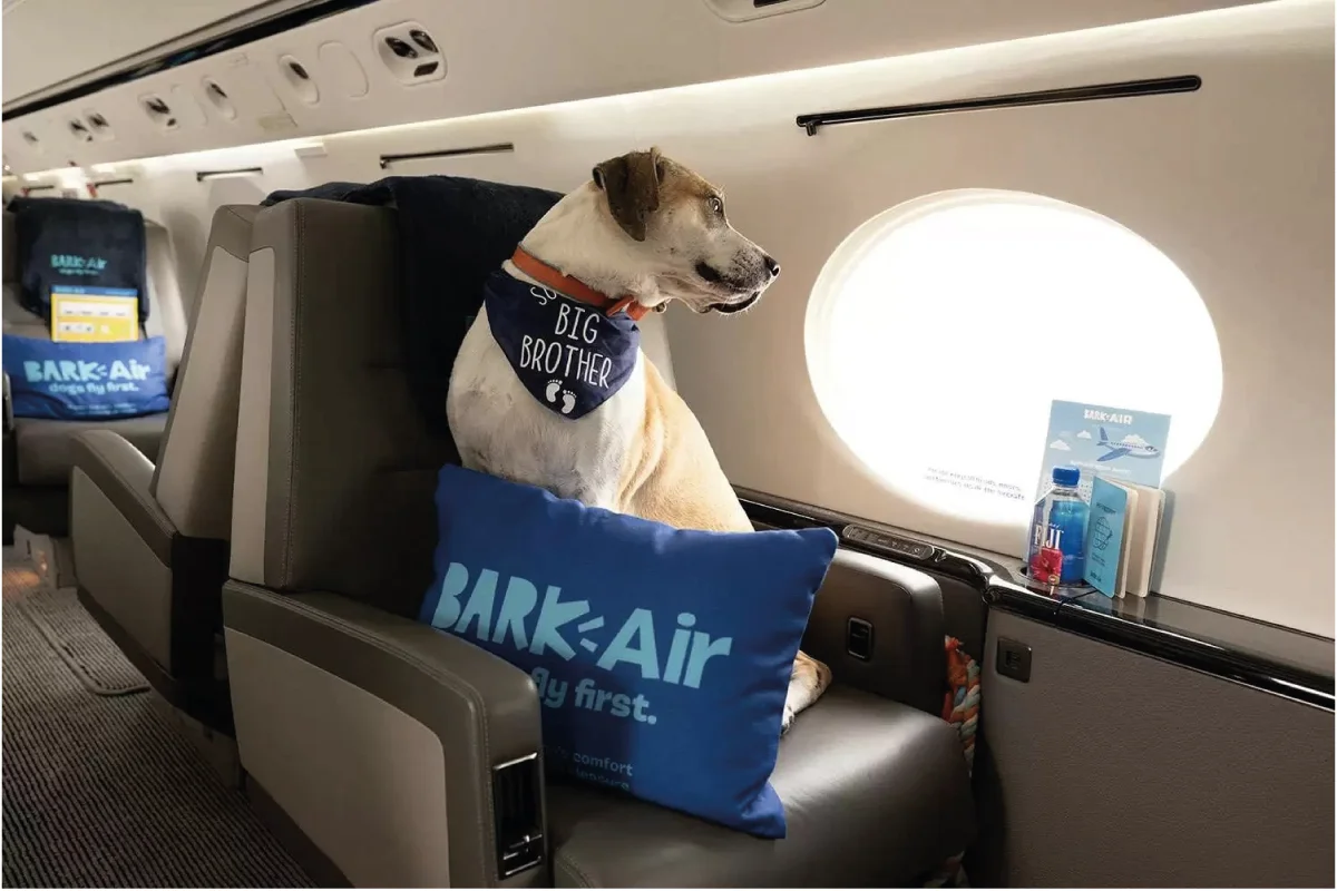 Aerolínea para perros