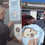 Denuncian muerte de perrita en veterinaria de Sonora