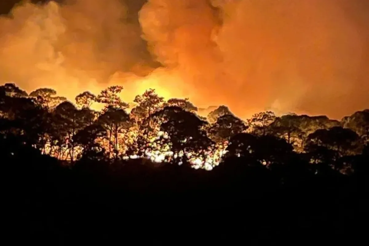 Incendio forestal amenaza a la ciudad de Jasper en Alberta