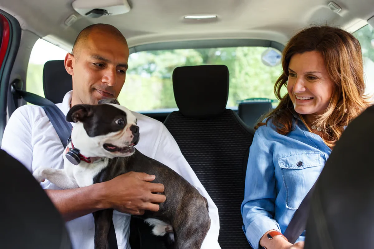 Uber Pet: llega a México el nuevo servicio para viajar con tu mascota