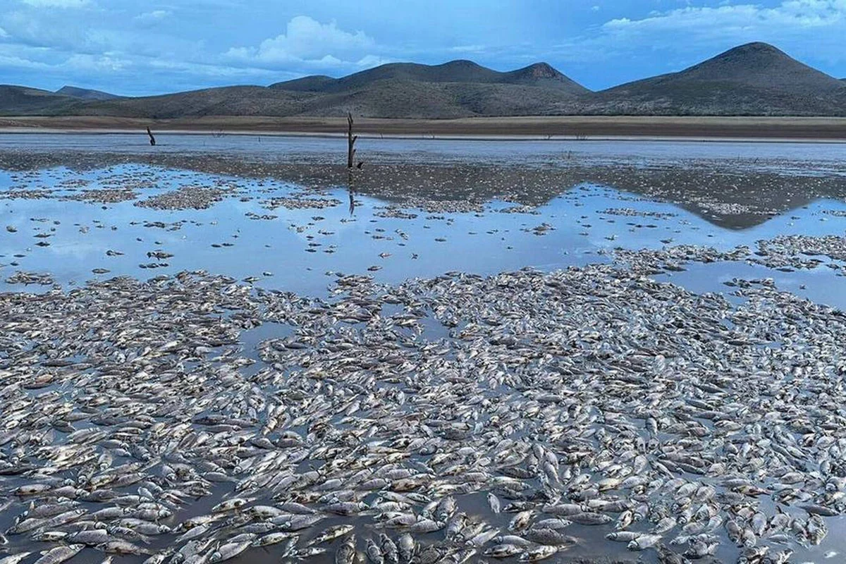 Presa Las Lajas