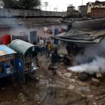 Virus Chandipura registra al menos 59 muertos en la India