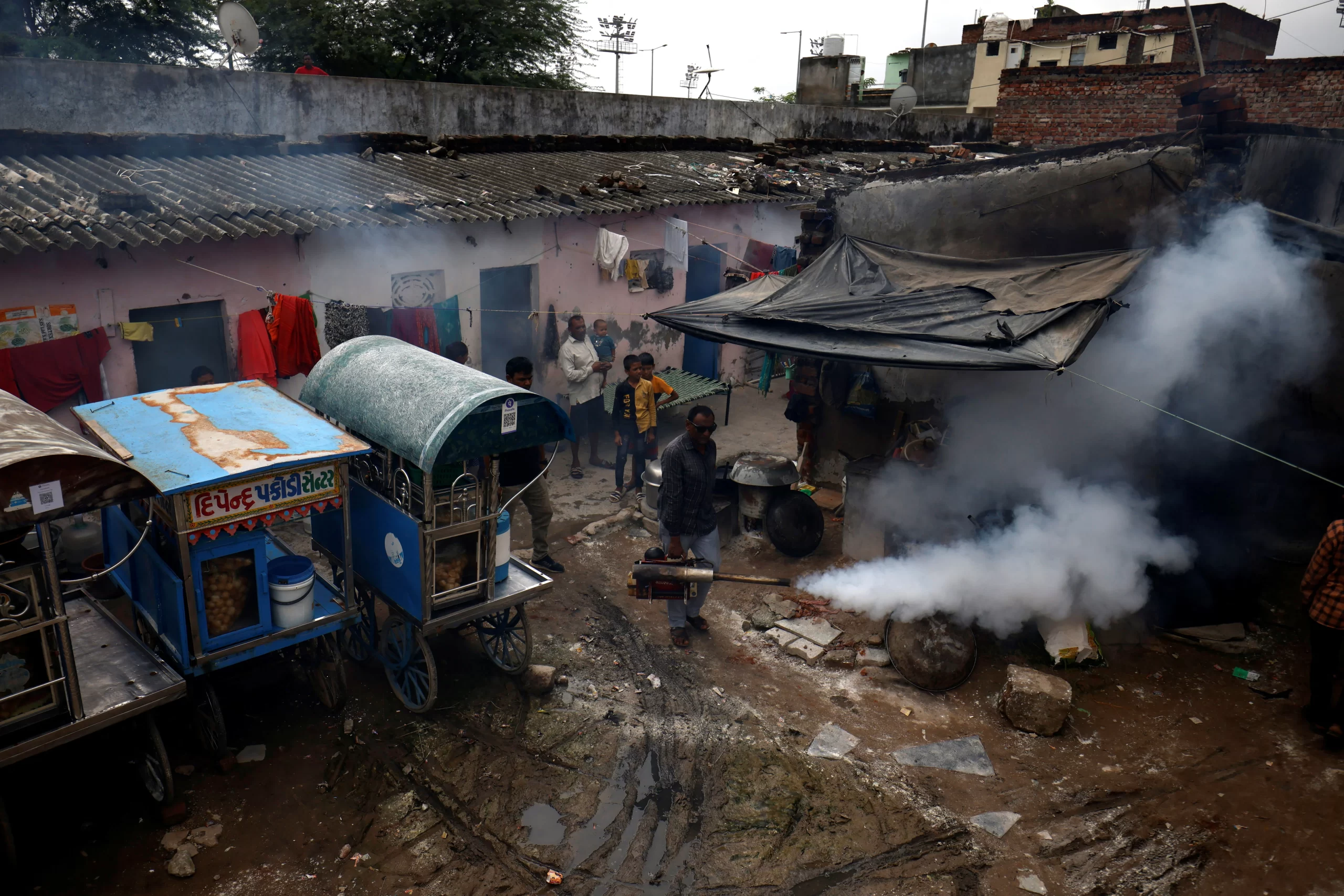 Virus Chandipura registra al menos 59 muertos en la India