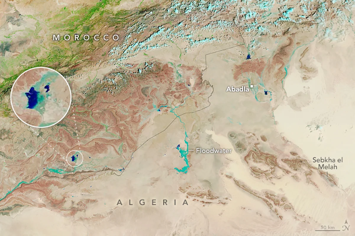 Lluvias pintan de verde el desierto del Sahara ¿Será permanente?