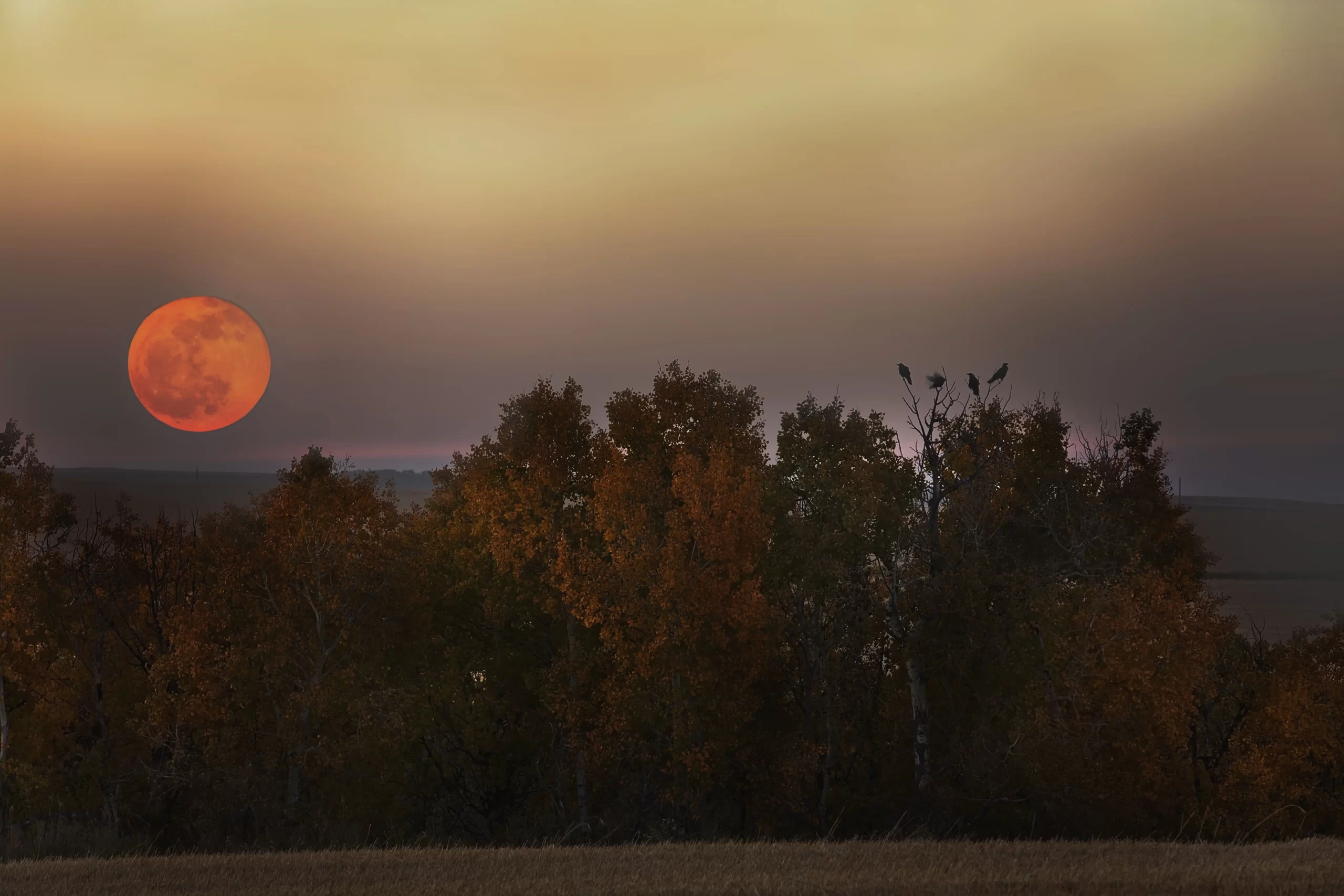 Otoño 2024: ¿Cuándo empieza y qué eventos astronómicos tendrá?