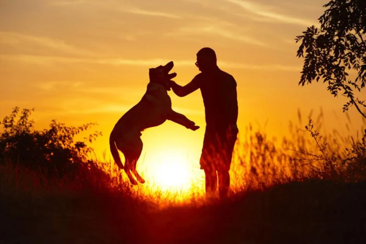 Día del perro adoptado